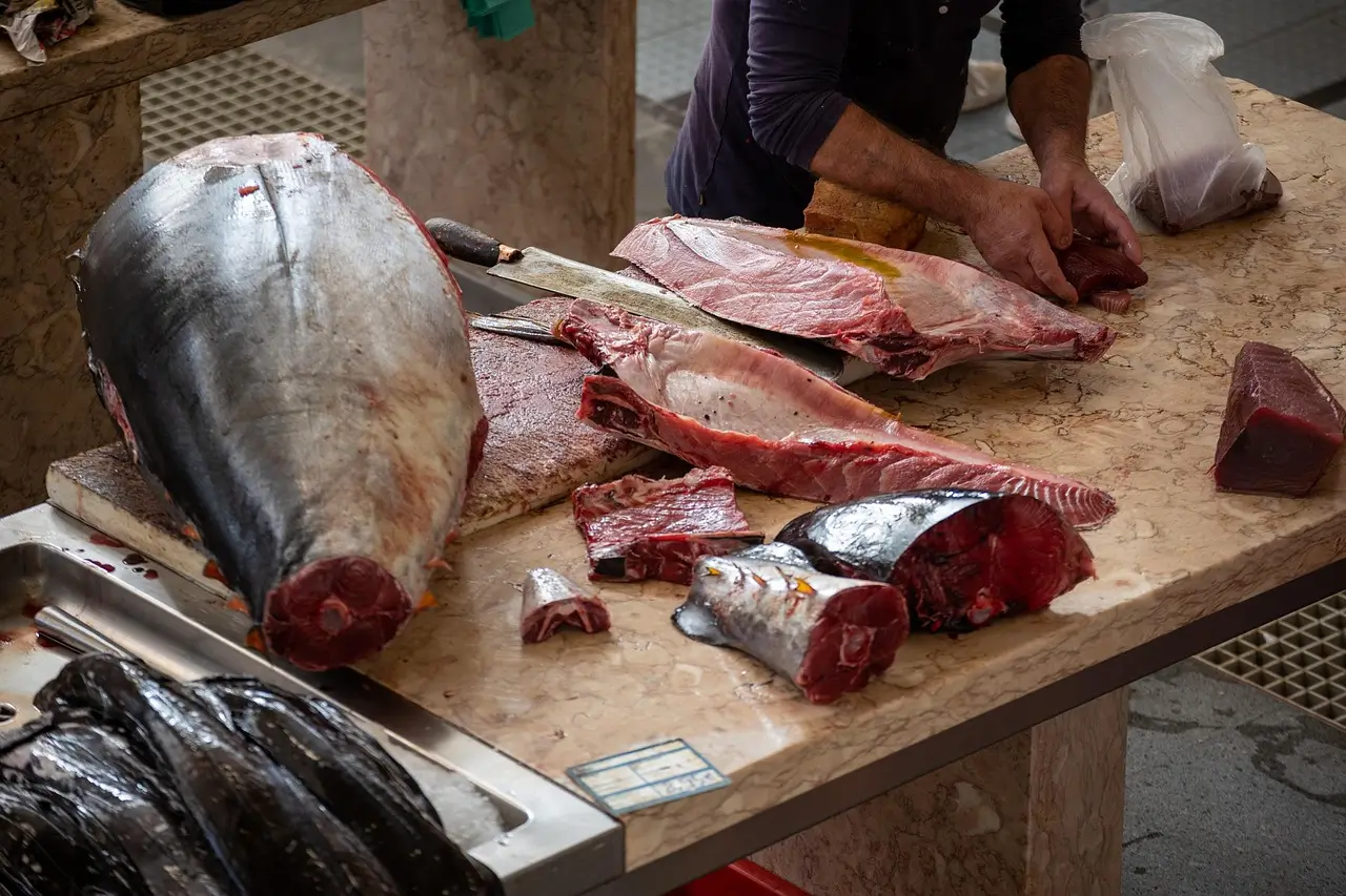 Almadraba tuna being prepared for market in Andalusia Spain.